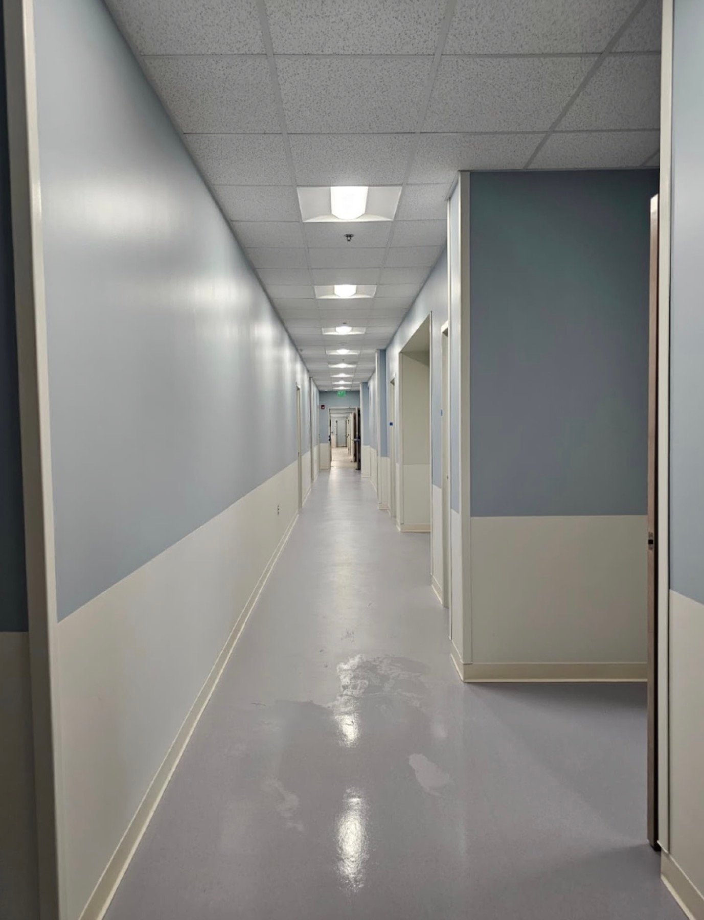 Finished commercial corridor with two-tone painted walls, suspended ceiling and sealed flooring